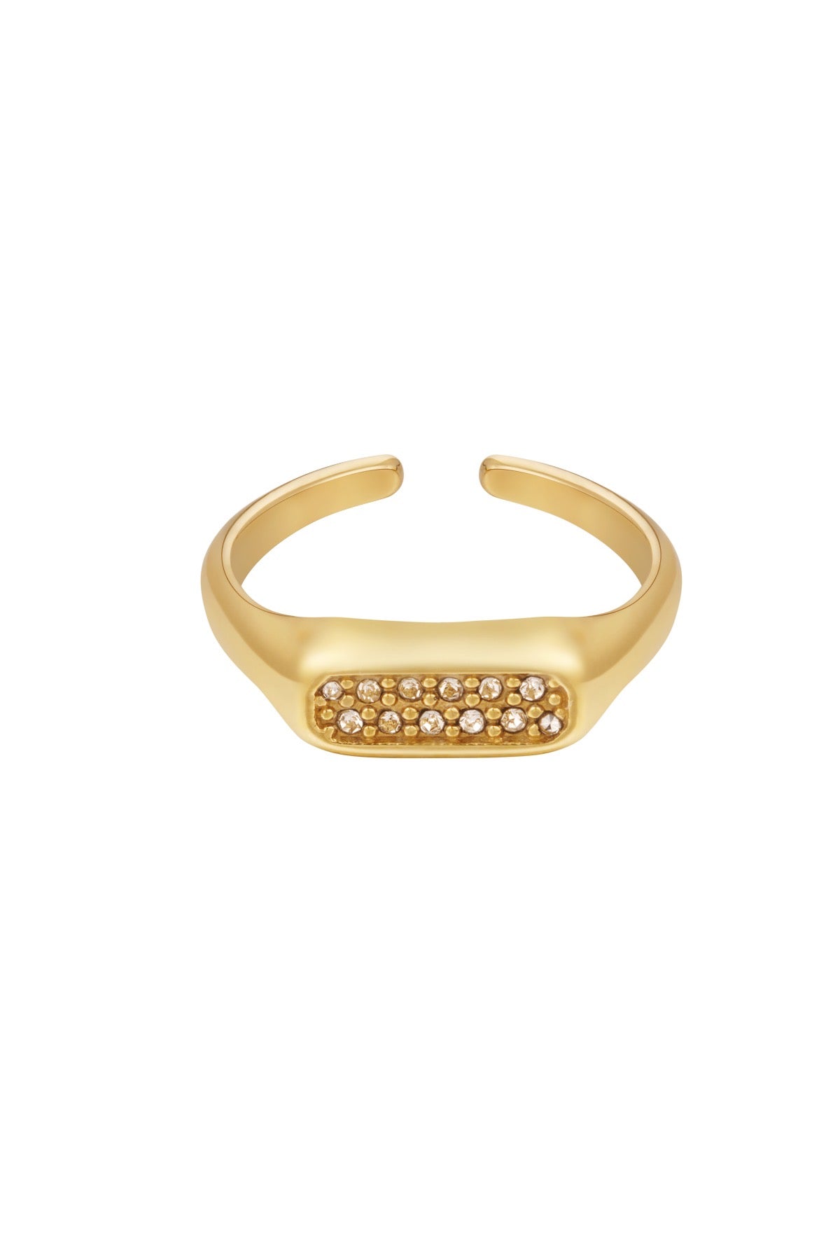 Ann Ring