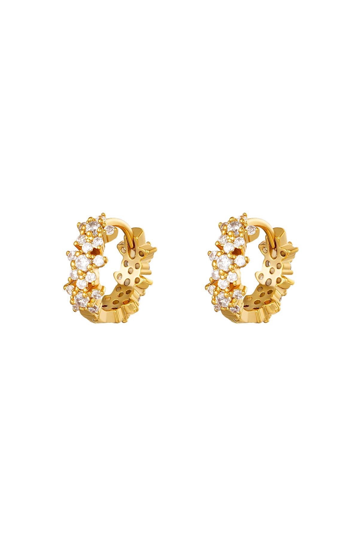 Solveig Hoops